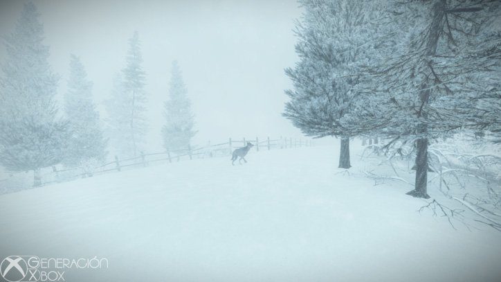 Análisis de Kona - Kona trae a Xbox One una nueva aventura que mezcla supervivencia, misterio, algo de terror y mucha mucha nieve.