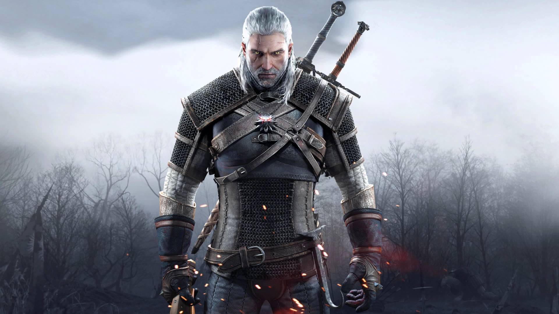 The witcher 3 amd or nvidia фото 60