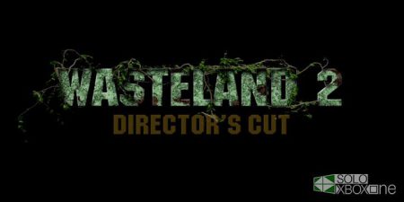 wasteland 2: director's cut