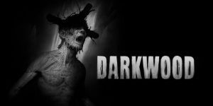 Análisis de Darkwood - Analizamos Darkwood, terrorífico y fascinante juego de supervivencia del estudio debutante Acid Wizard Studios.