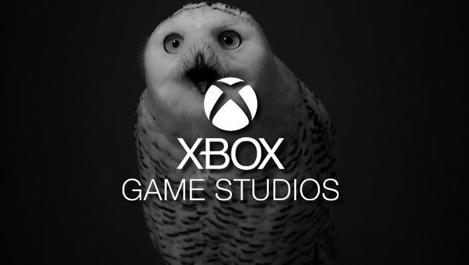 White Owls Xbox