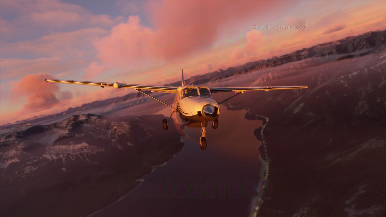 Microsoft Flight Simulator captura 3 avioneta