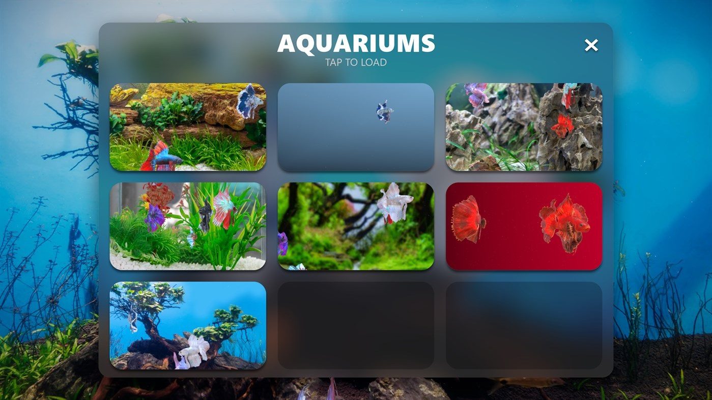 Convierte tu TV en un vistoso acuario con esta app para Xbox - Siamese Fighting Fish es un juego que te permite crear un acuario personalizado en tu Xbox One o Xbox Series.