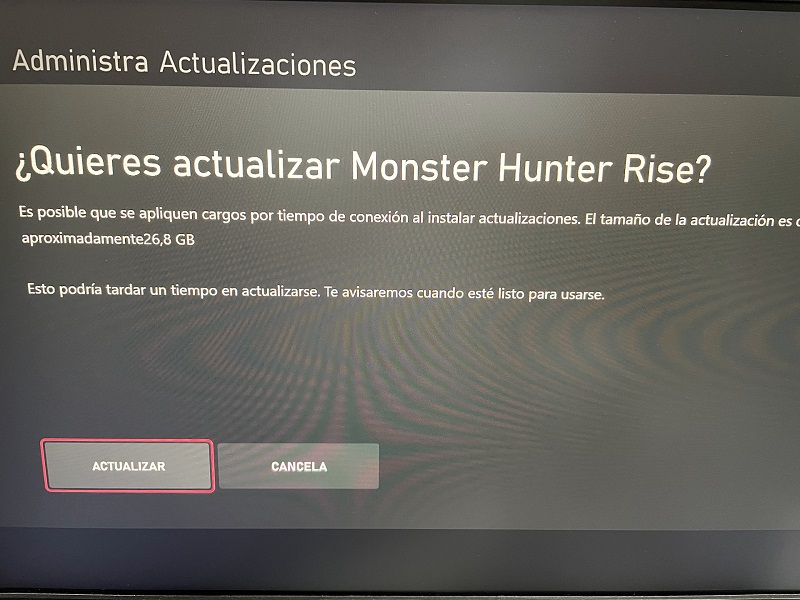 monster hunter rise size file
