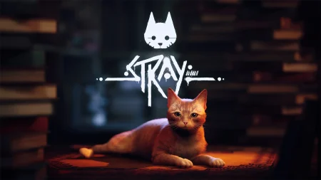 stray - generacion xbox