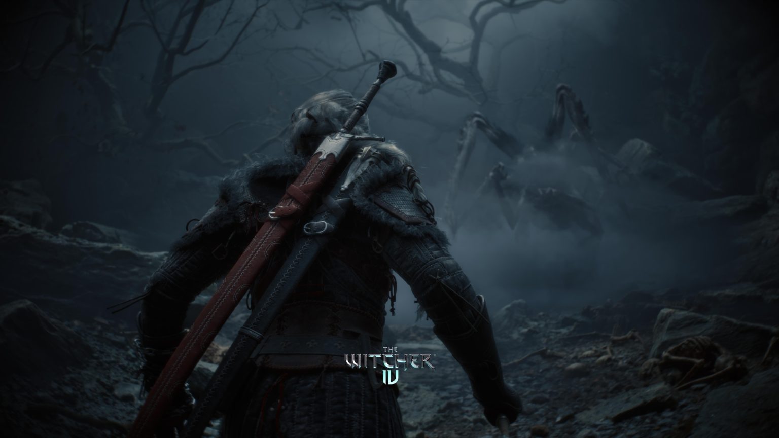 The Witcher 4 WP